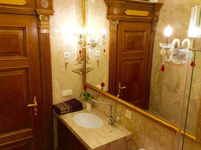 Luxury Pilies Avenue Apartment - image 9