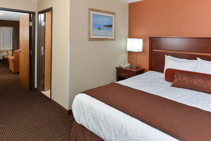 Best Western Plus Landmark Inn - image 10