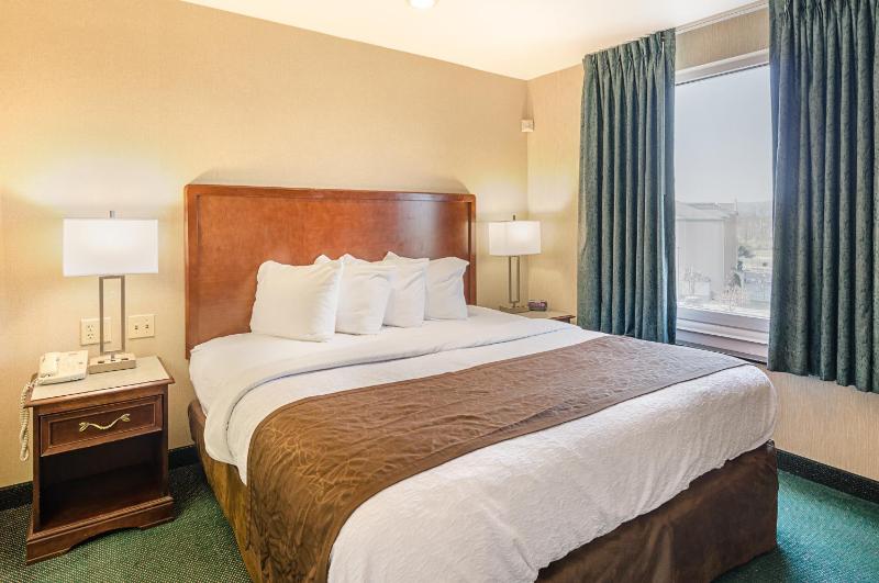 One-Bedroom King Suite - Non-Smoking image 2