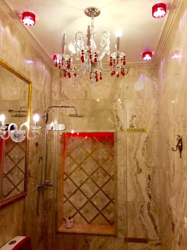 Luxury Pilies Avenue Apartment - image 7