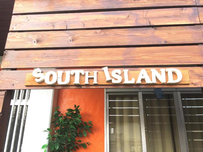 South Island - image 21