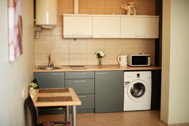 Palanga Apartments - Studio-1 - image 14