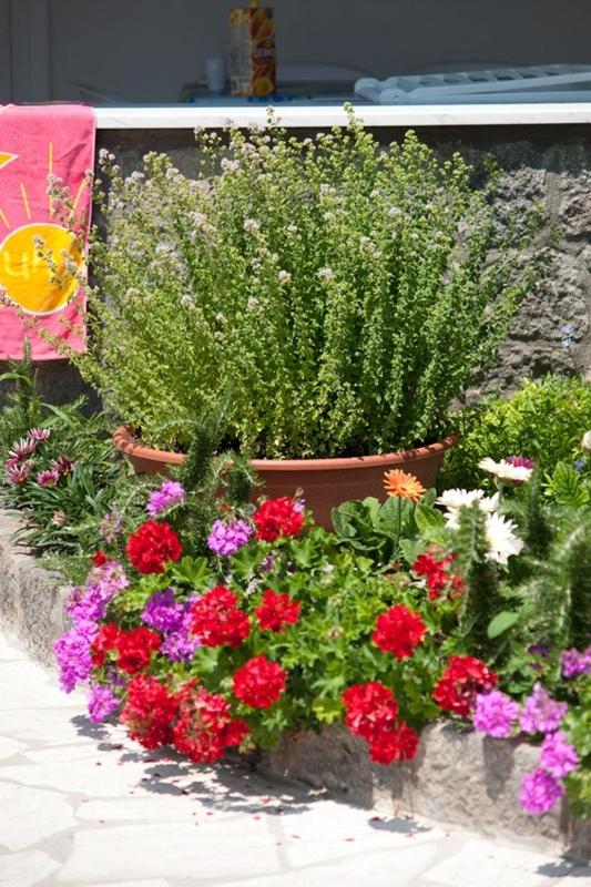 Residence Le Vigne - image 19
