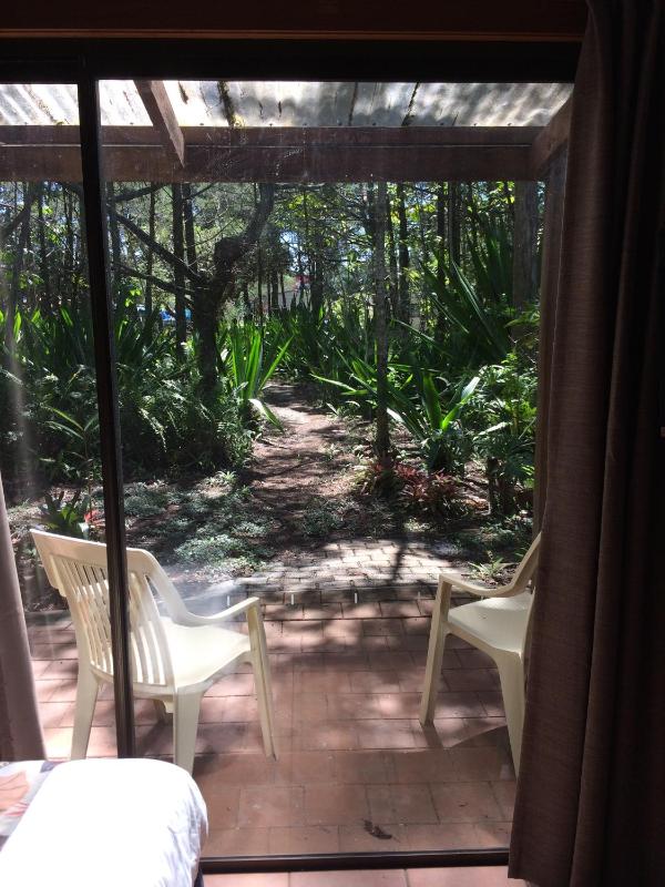 Byron Bay Rainforest Resort - image 11
