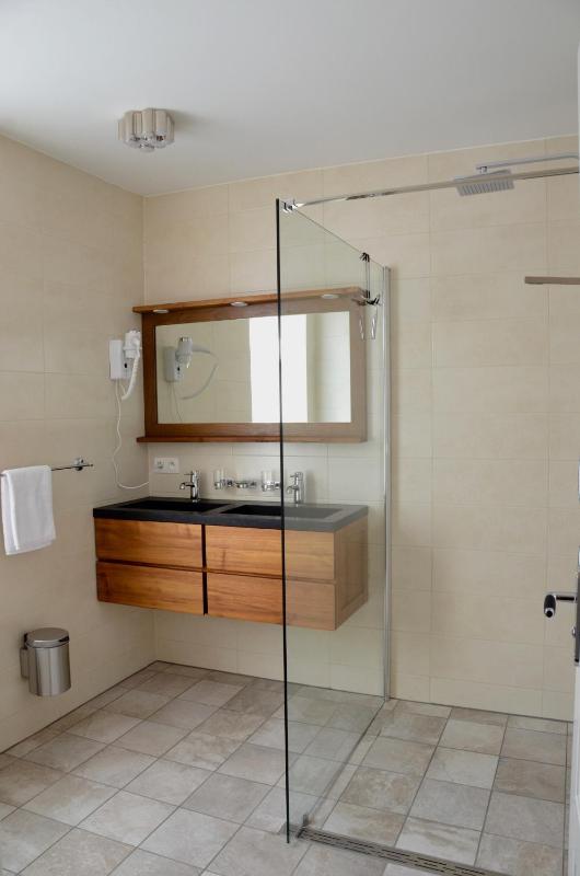 One-Bedroom Apartment image 4