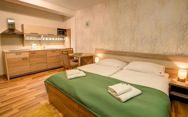 Standard Studio Apartment with Balcony with Extra Bed image 2