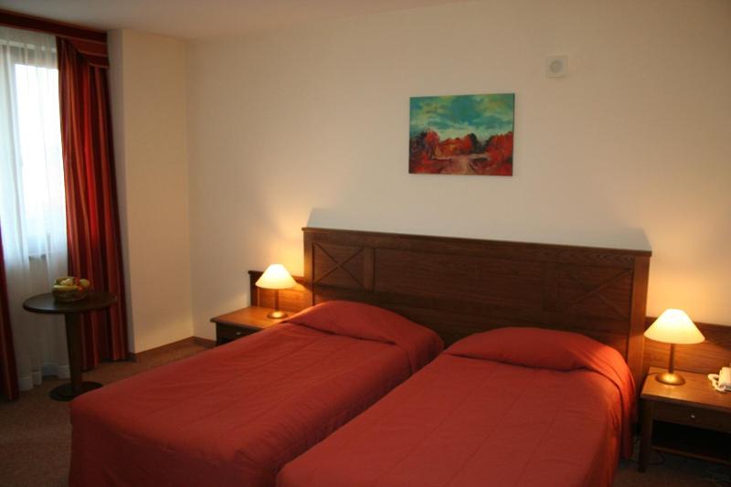 Evelina Palace Hotel - image 2
