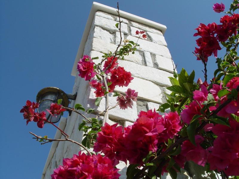 Anna Platanou Hotel - image 31