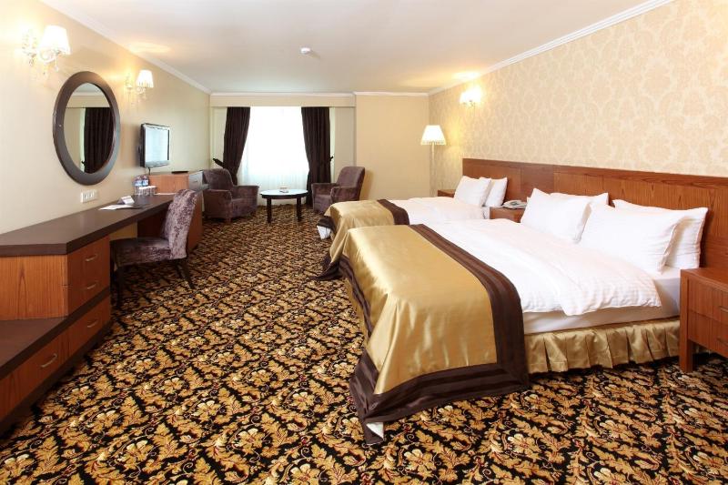 Deluxe Single Room image 2