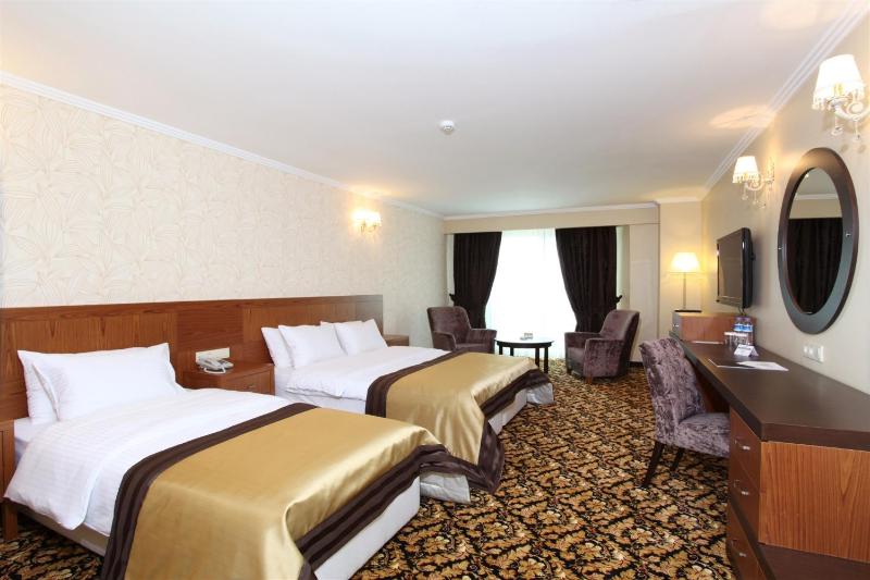 Deluxe Single Room image 3