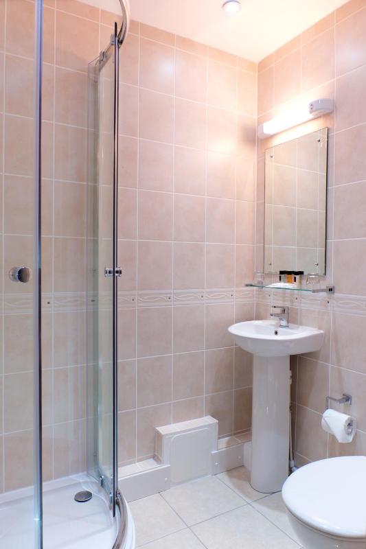 Standard Twin Room image 3