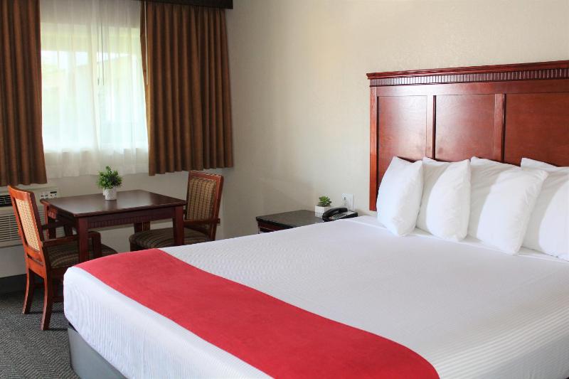 Standard King Room image 4