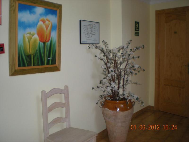 Apartamentos Casanova - image 29