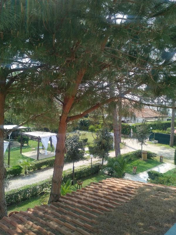 Small Double Room image 3