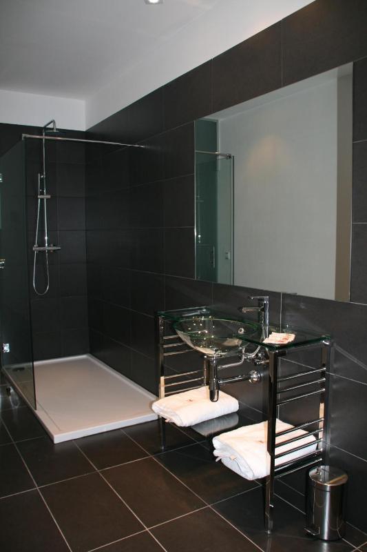 Deluxe Double or Twin Room image 4