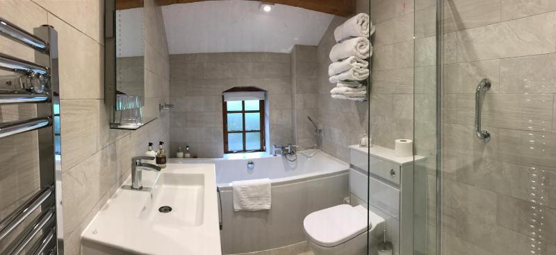 Deluxe Super King or Twin Room image 4