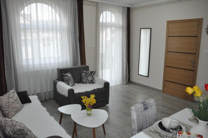 One-Bedroom Apartment image 4