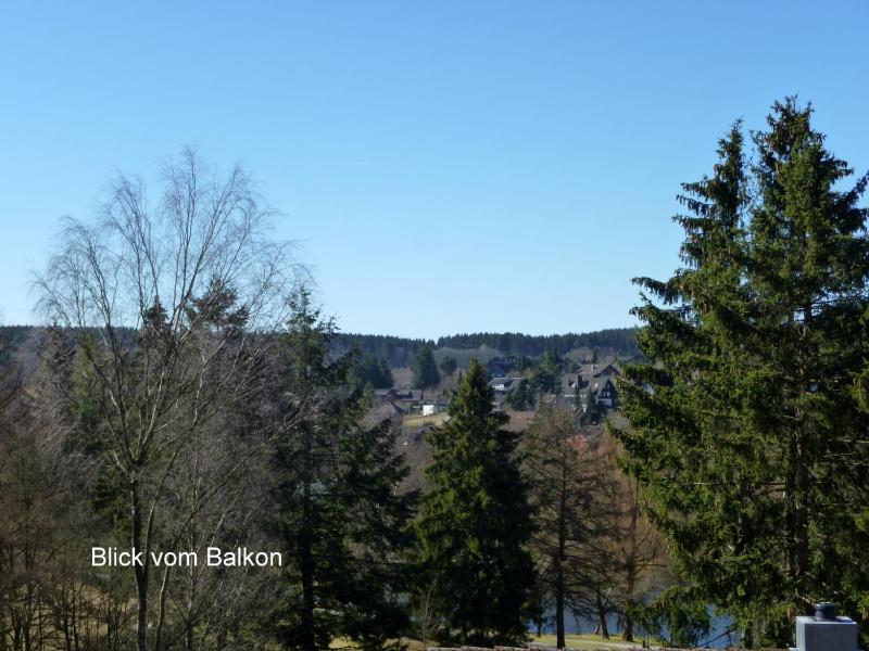 Ferienwohnung Weitblick am Kurpark - image 7