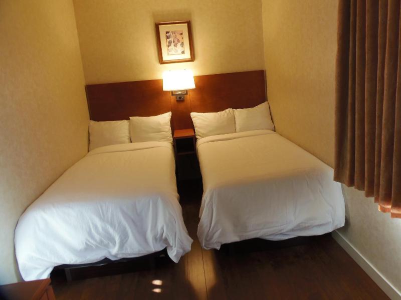 Rosslyn Inn & Suites - image 43