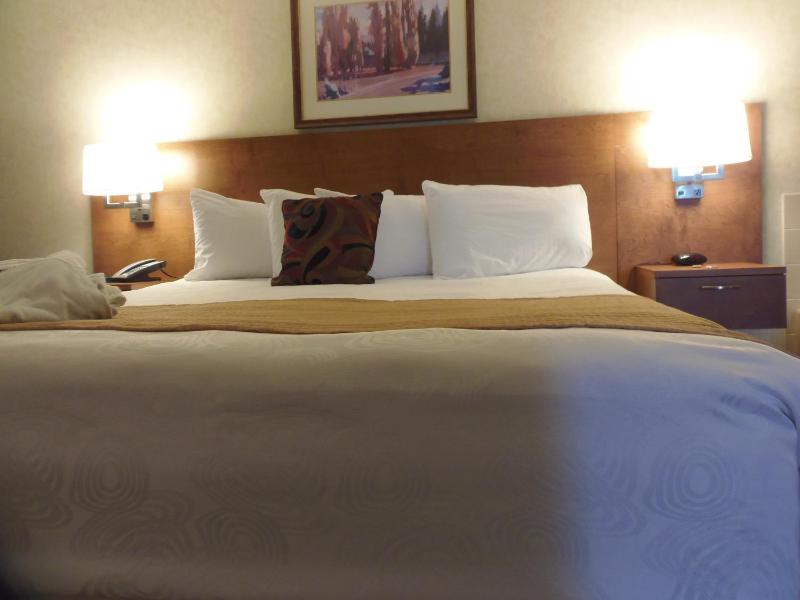 Rosslyn Inn & Suites - image 21
