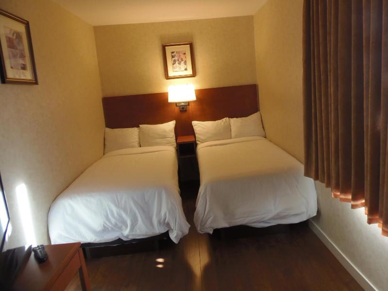 Rosslyn Inn & Suites - image 38