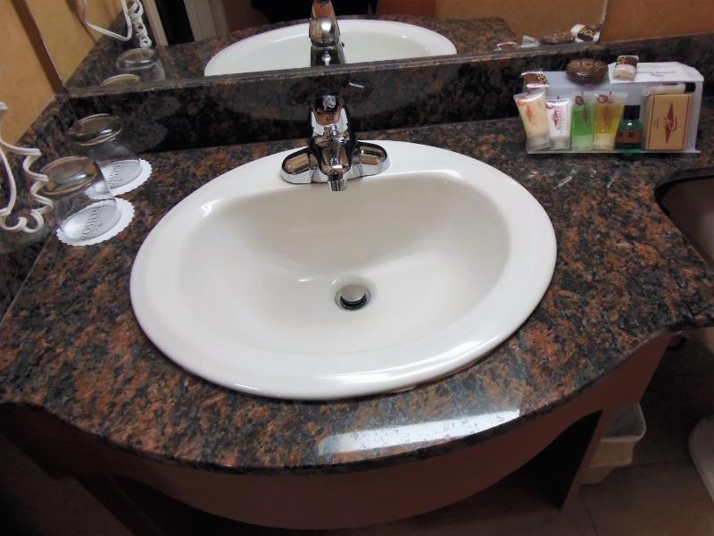Rosslyn Inn & Suites - image 37