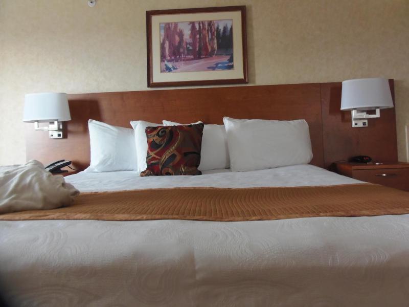 Rosslyn Inn & Suites - image 33