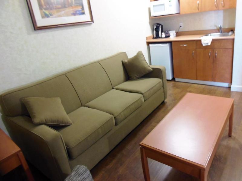 Rosslyn Inn & Suites - image 22
