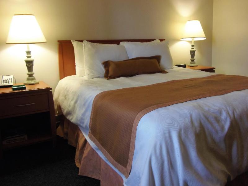 Rosslyn Inn & Suites - image 16