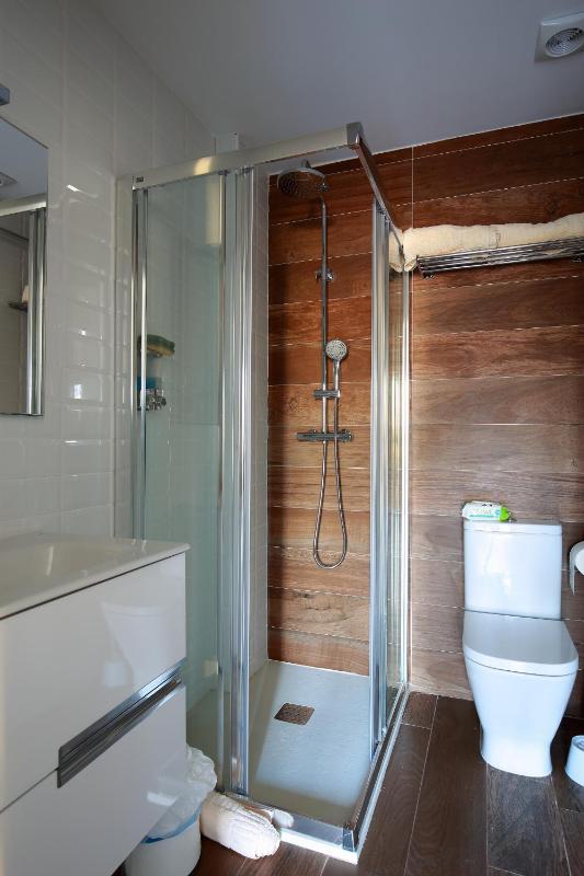 Apartment with Terrace image 3