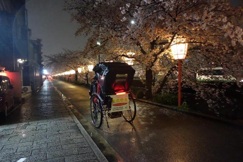 Kyomaru - image 13