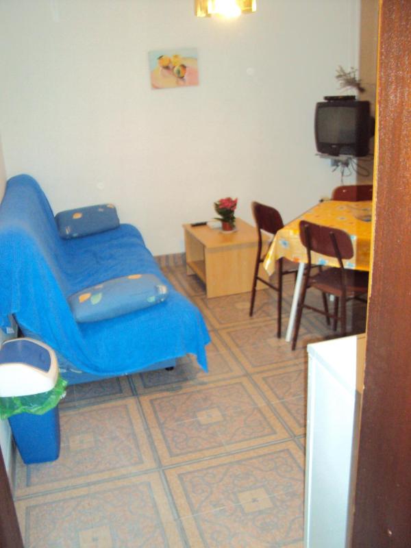 One-Bedroom Apartment image 3