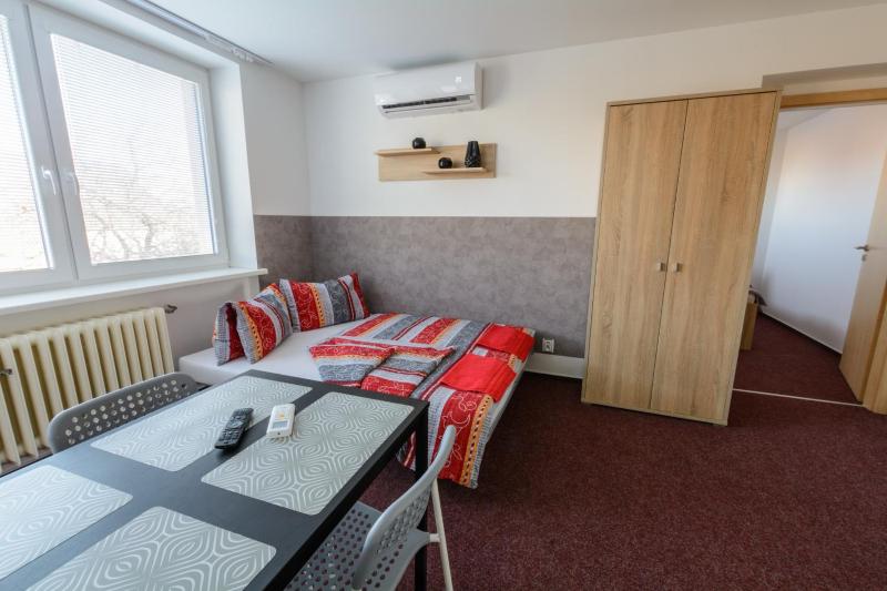 One-Bedroom Apartment image 4