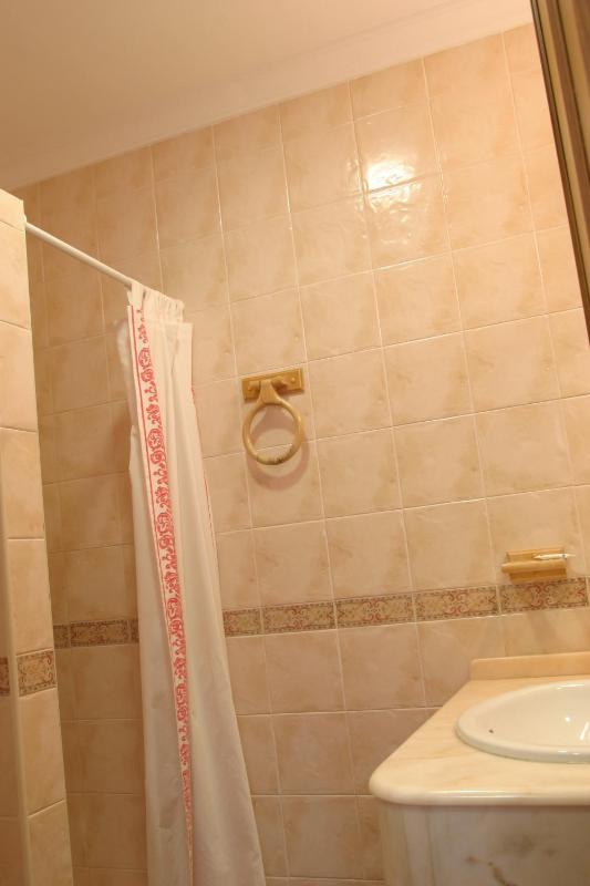 Standard One-Bedroom Apartment image 4