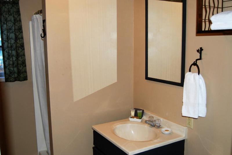 One-Bedroom Suite image 2