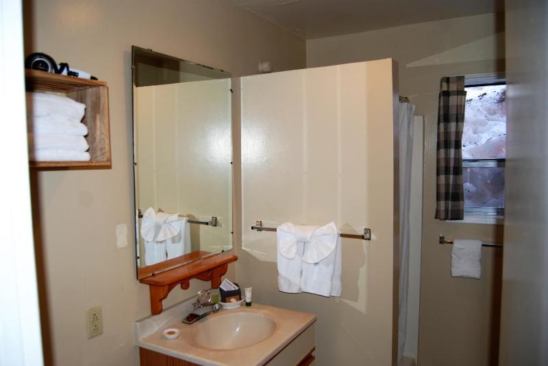 One-Bedroom Suite image 3