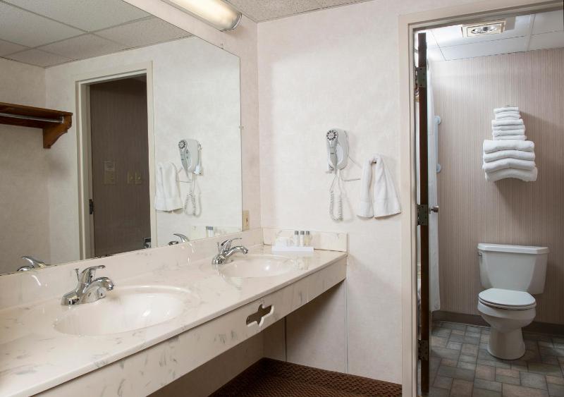 Standard Double Room with Two Double Beds image 4