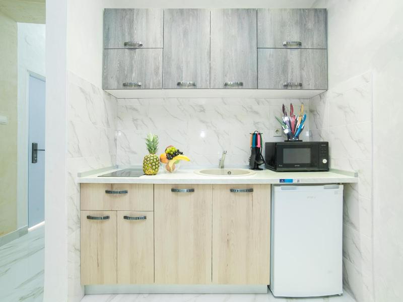 Luxury One Bedroom Apartment  image 2