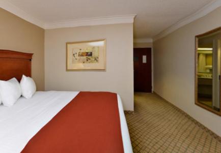 King Room - Non-Smoking image 4