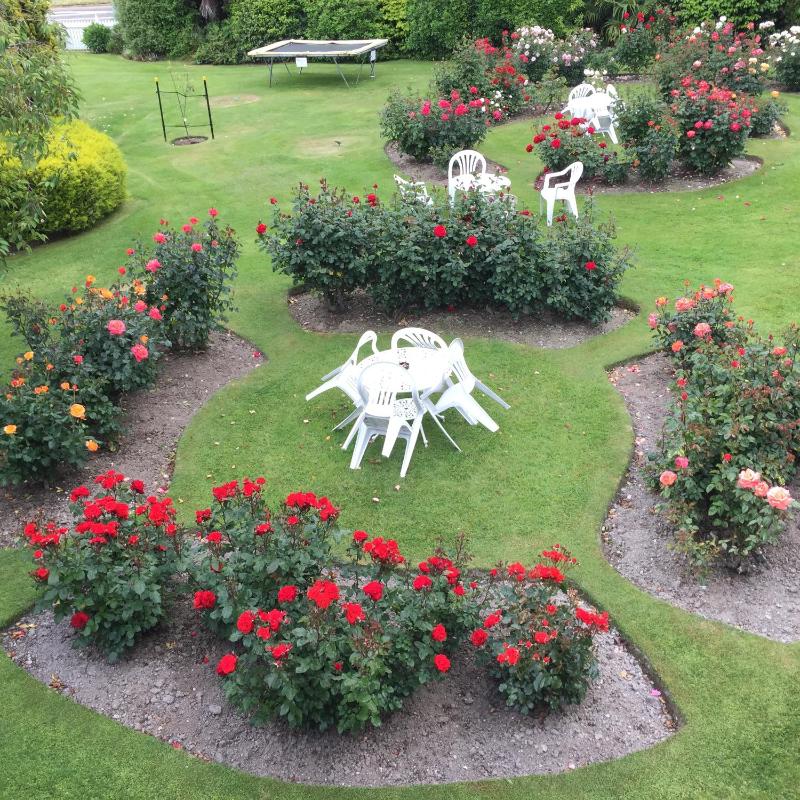 Phoenix Thermal Resort - Taupo - image 24
