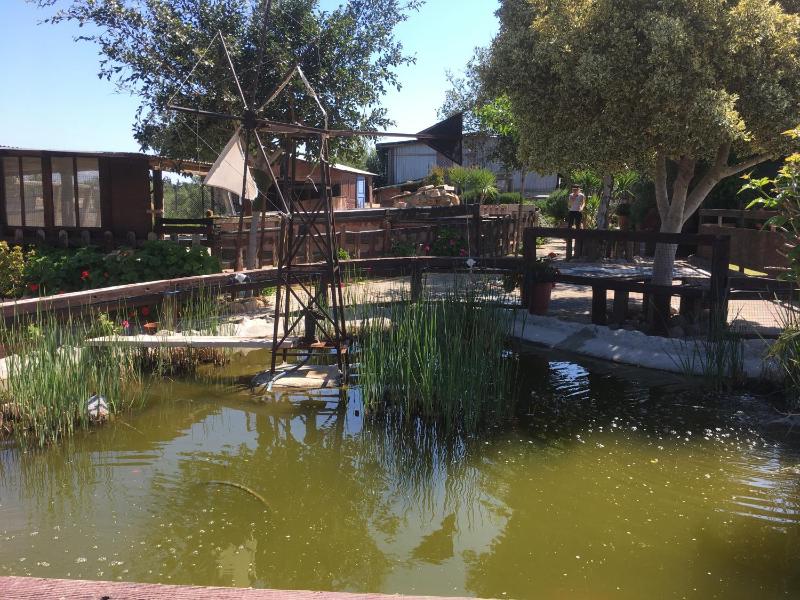 Arion Stables & Apartments - image 19