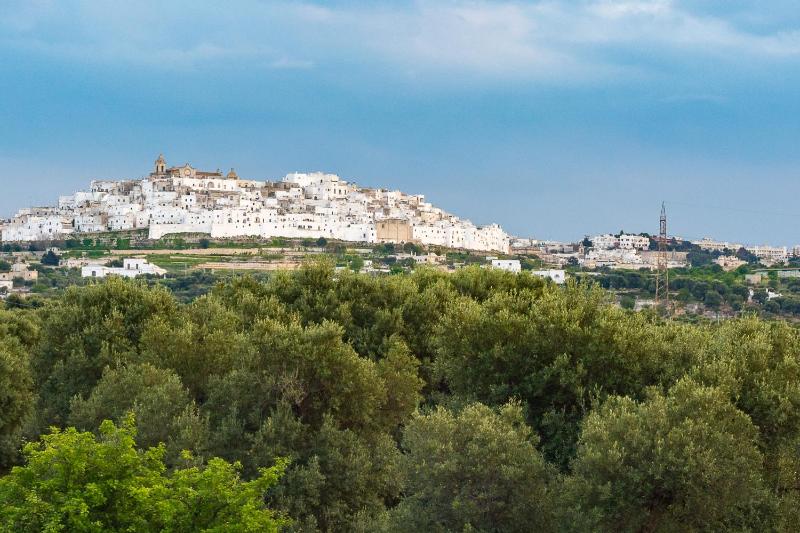 One-Bedroom House -  Wheelchair accessible image 4