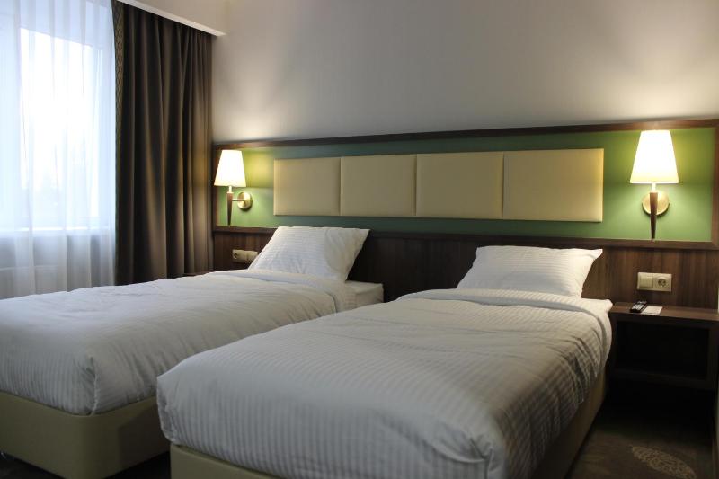 Standard Twin Room image 2