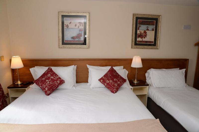 Double or Twin Room image 4