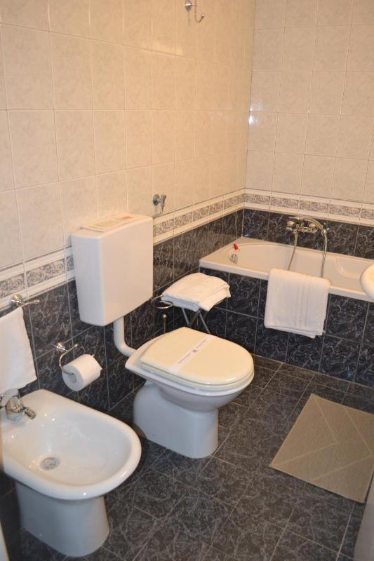 Double or Twin Room image 4