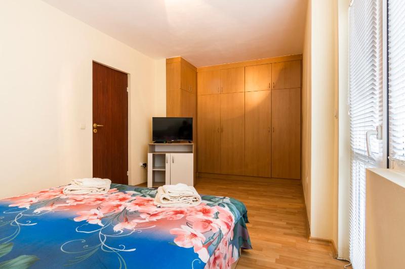Ibar Apartment & Garage - image 4