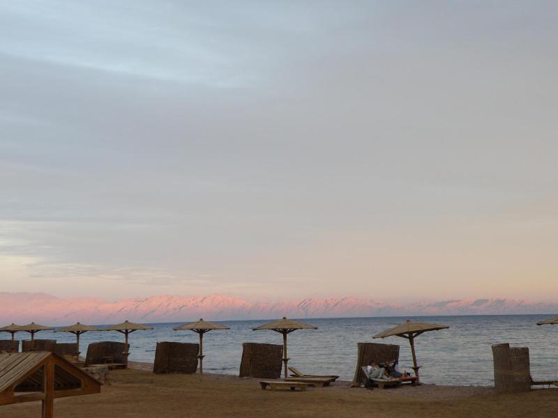 Daniela Diving Resort Dahab - image 47