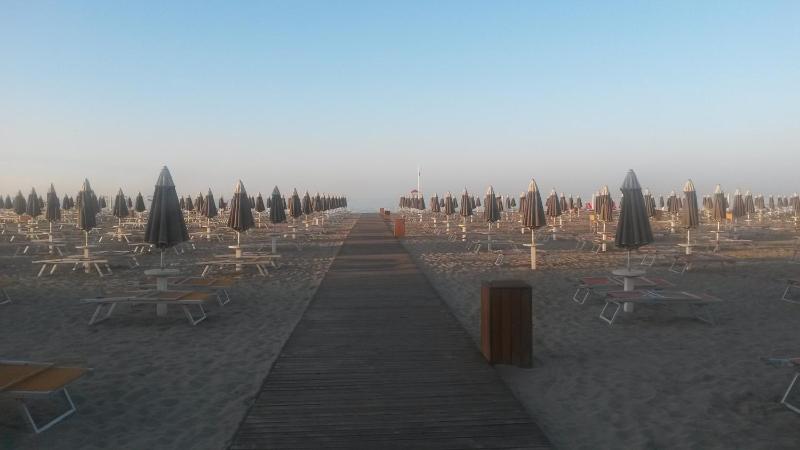 Hotel Camelia - image 21