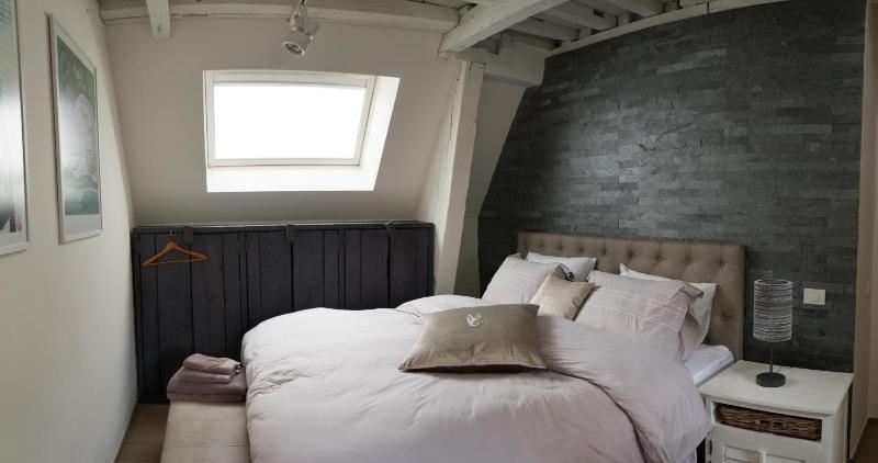 Y & L Villa Antwerp - image 4