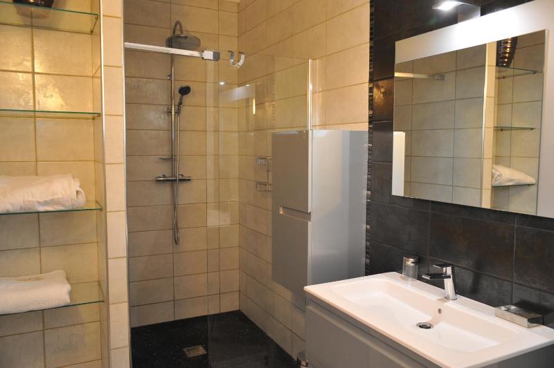Standard One-Bedroom Apartment image 4